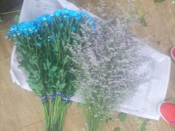 20140721_104029.jpg