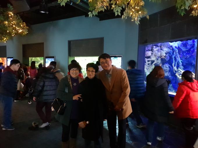 20181226_124809.jpg